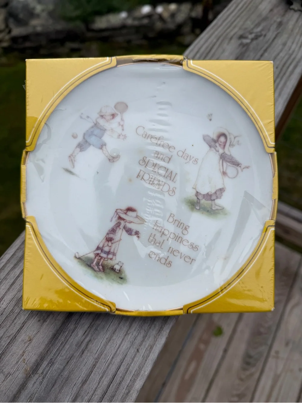 Vintage Holly Hobbie “Special Friends” Collector Plate – Original Box